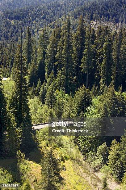 aerial view of humboldt woods state park, california - humboldt redwoods state park 個照片及圖片檔