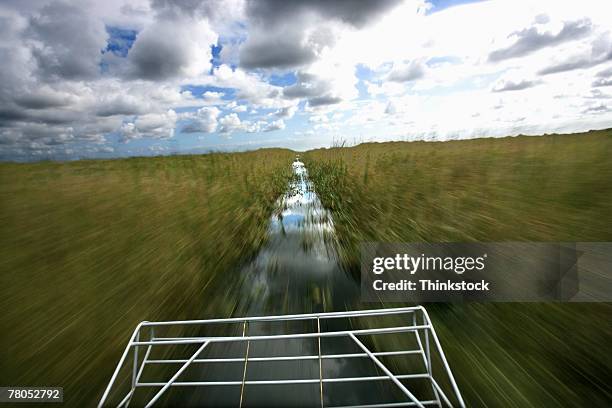 airboat through the everglades of florida - airboat stock pictures, royalty-free photos & images