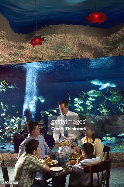 restaurant inside public aquarium - restaurant aquarium stock pictures, royalty-free photos & images