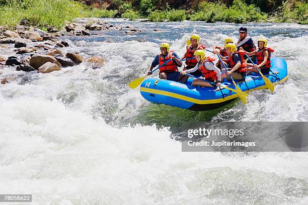 whitewater rafters - rafting stock pictures, royalty-free photos & images