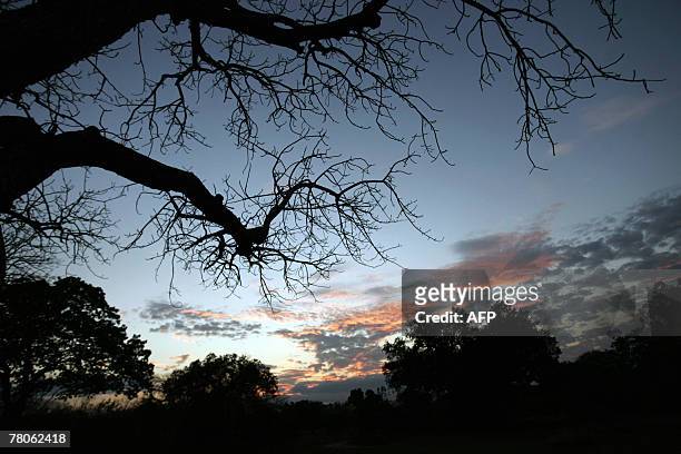 The sunsets at Selous Game Reserve in southern Tanzania, 02 September 2007. The Selous Game Reserve is one of the largest fauna reserves in the...