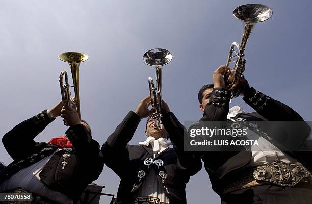 "Mariachis" play their trumpets during a serenade dedicated to Santa Cecilia --the mariachis' patron saint-- at Garibaldi square in Mexico City, 22...