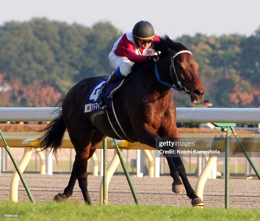 Japan Cup 2007 Horse Racing