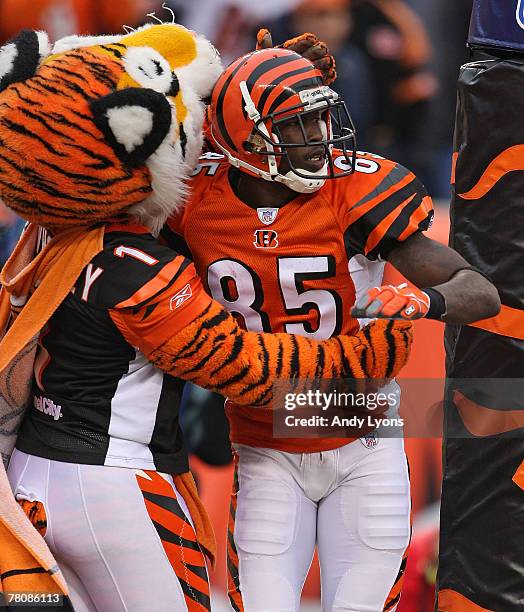Chad Johnson of the Cincinnati Bengals celebrates with the Bengals mascot after catching a touchdown pass during the NFL game against the Tennessee...