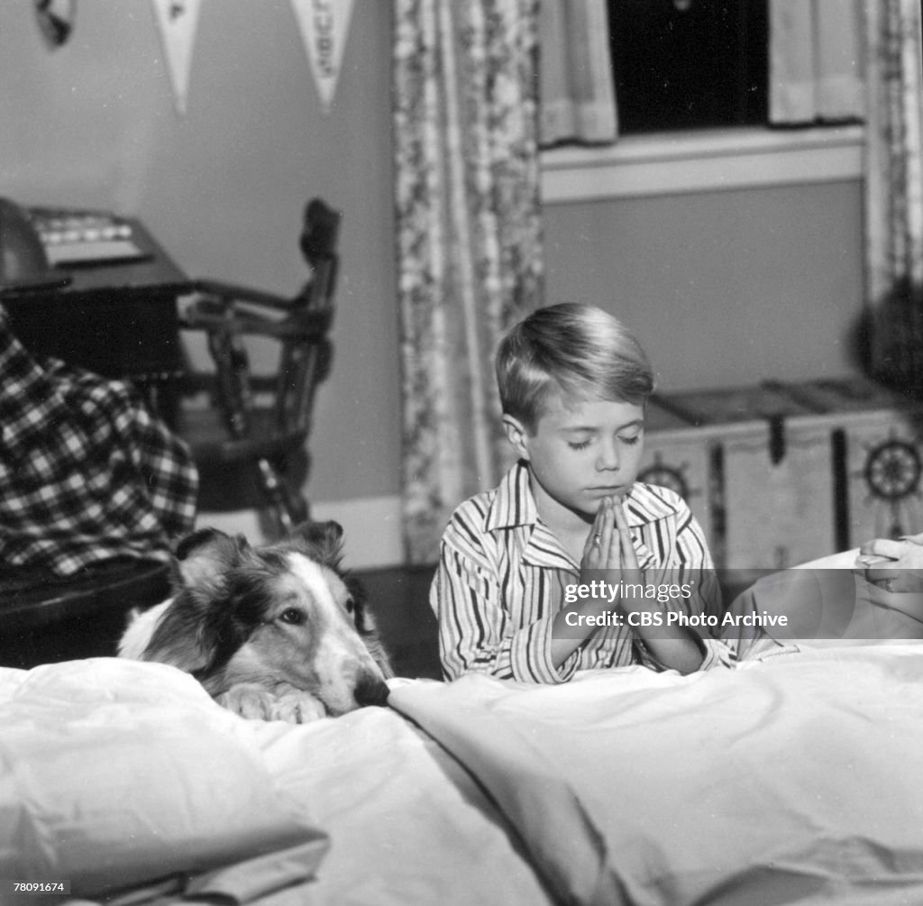 Spook & Provost In 'Lassie'
