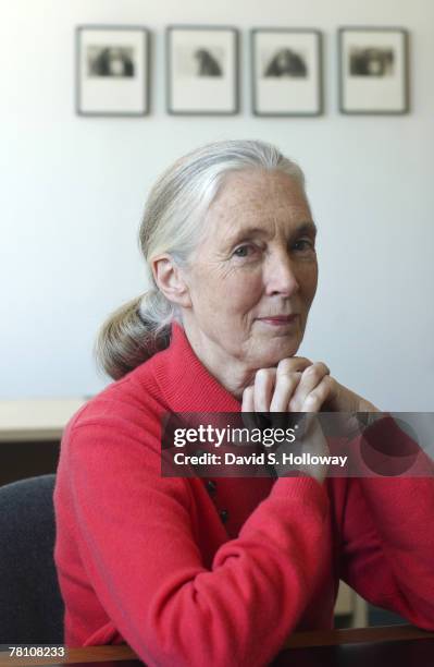 Jane Goodall poses for photos at the Jane Goodall Institute on February 18, 2003 in Silver Spring, Maryland. The Jane Goodall Institute has since...