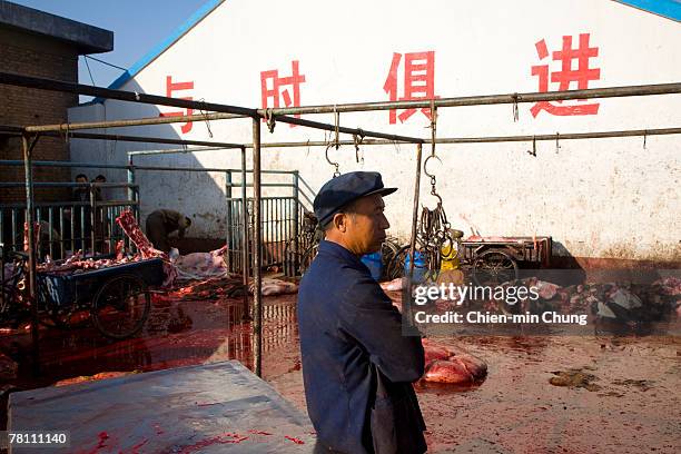 Workers prepare cows at an old traditional slaughterhouse September 16, 2007 in Hohot, Inner Mongolia, China. China's beef consumption is growing,...
