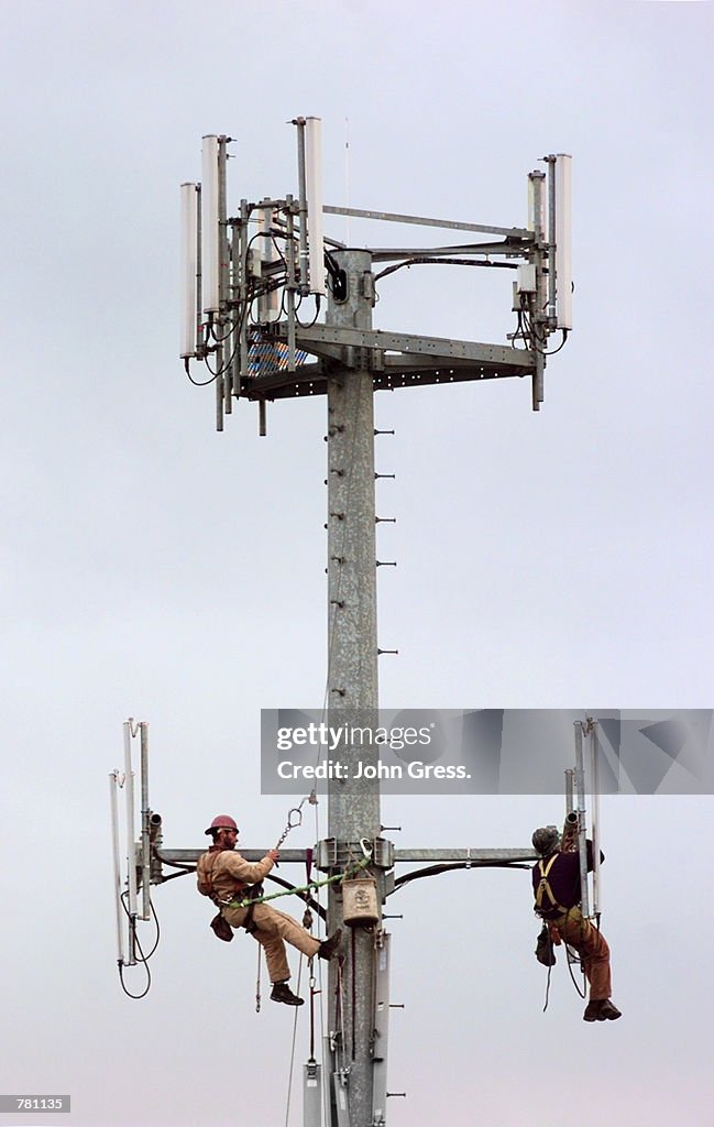 Workmen maintain a cellular telephone...
