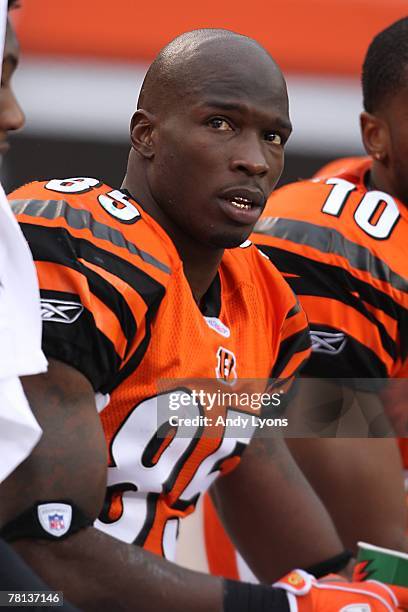 Chad Johnson of the Cincinnati Bengals looks on from the bench during the NFL game against the Tennessee Titans at Paul Brown Stadium on November 25,...
