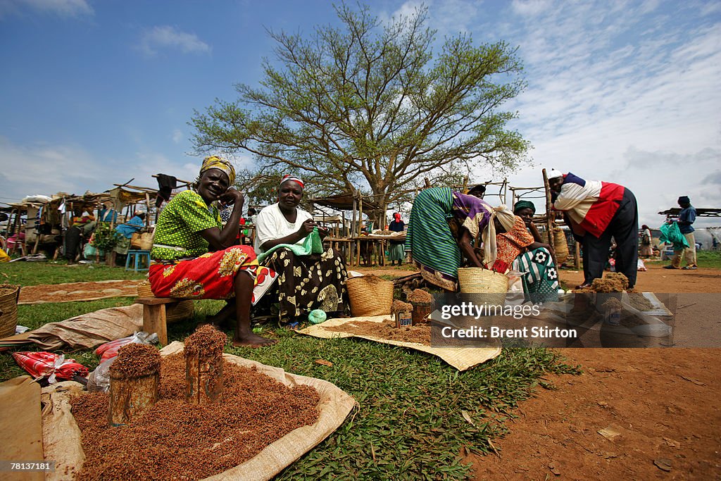 World Economic Forum Business Alliance Against Chronic Hunger Initiatives