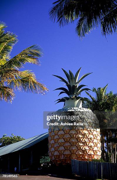 The "Big Pineapple" is seen on June 8, 2006 in Nambour, Australia. There are now close to 150 "Big Things" around Australia. The trend began with the...