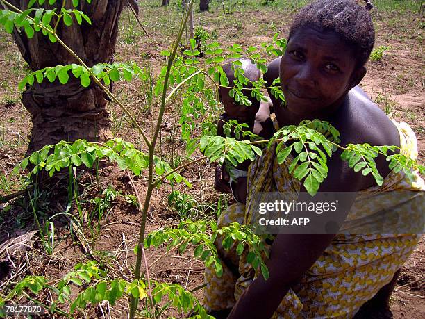 Isabelle LIGNER Madeleine Adjovi and her baby girl Sandrine, both HIV positive, pose next to a Moringa tree in a field belonging to the Apevivis...