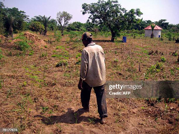 Isabelle LIGNER Paulin Dansou, HIV positive, walks in a Moringa field belonging to the Apevivis association in Kpomasse, 30 November 2007. The...