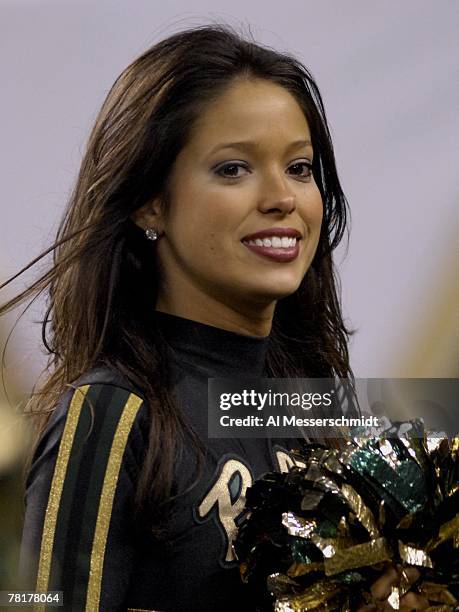 Cheerleader from the University of South Florida Bulls entertains during play against the Louisville Cardinals at Raymond James Stadium on November...