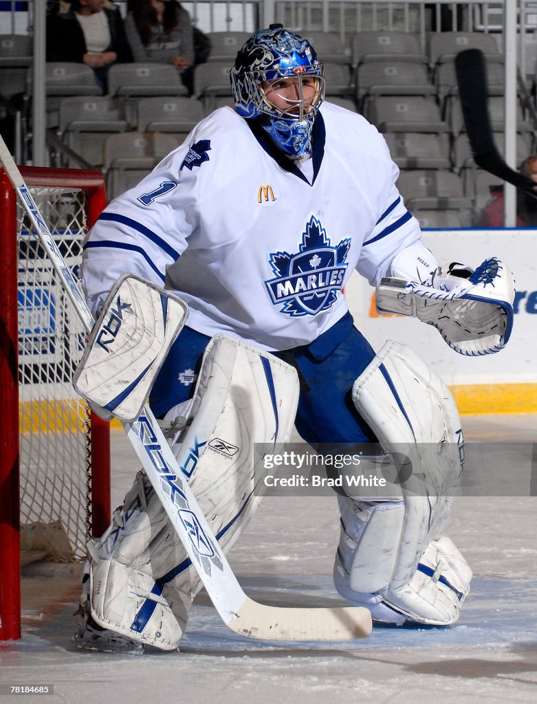 Lake Erie Monsters v Toronto Marlies