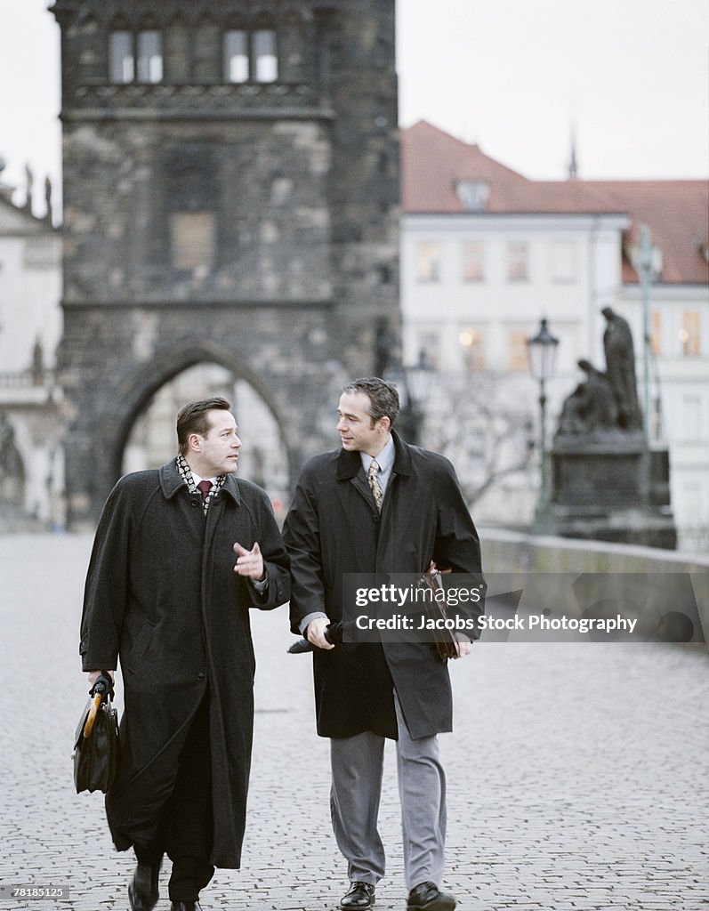 Business colleagues walking together