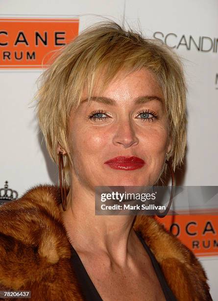 Actress Sharon Stone attends the Scandinavian Mansion of Style held on December 1, 2007 in Los Angeles, California.