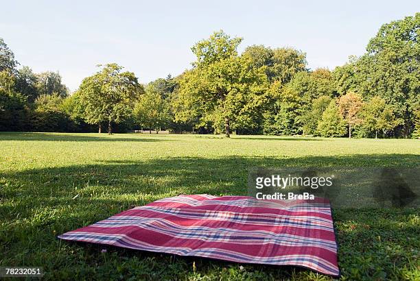 still life of blanket lying on grass in park - picnic blanket stockfoto's en -beelden