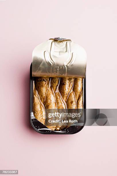 still life of of open sardine can - sardine can stock pictures, royalty-free photos & images