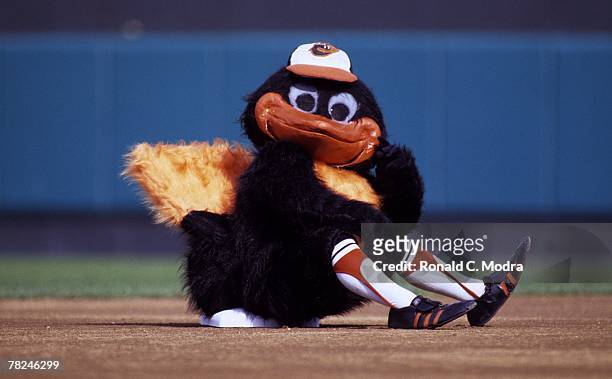 The Brid, team mascot of the Baltimore Orioles at second base during the American League Championship Series against the Chicago White Sox on October...