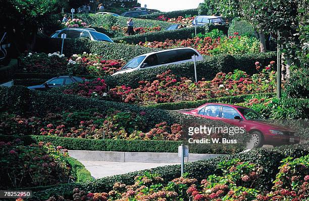 cars on winding roads with gardens - lombard street san francisco stock-fotos und bilder