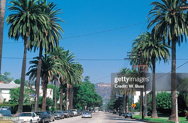 palm trees in los angeles - sunset-boulevard-los-angeles stock pictures, royalty-free photos & images