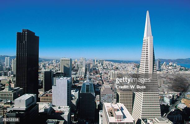 san francisco skyline , california , usa - transamerica-pyramid-san-francisco stock-fotos und bilder