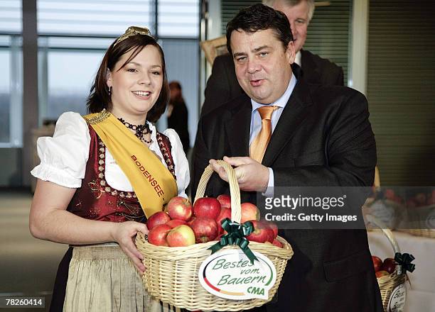 German Environment Minister Sigmar Gabriel receives traditional apple presents from the apple queens on December 5, 2007 in Berlin, Germany.
