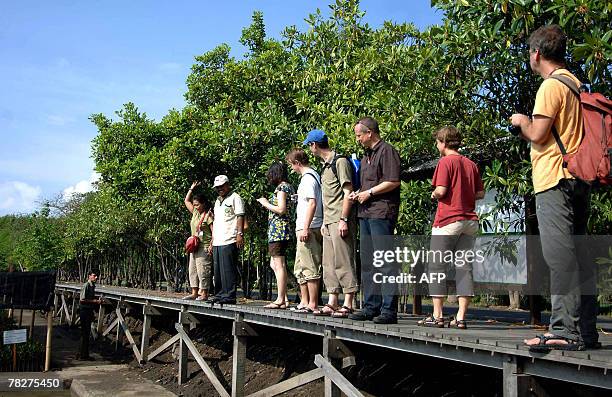 Delegates visit a mangrove forestation centre in Denpasar, on Bali island, 06 December 2007, on the sideline of the UN Climate Change Conference...