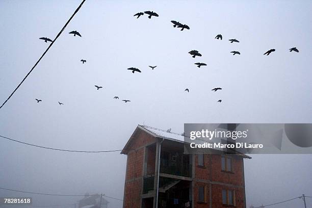 Crows fly over a house constructed with the millions of dollars of the international community for the Roma population to allow them to came back is...