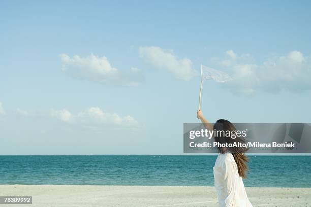 woman catching clouds with butterfly net - perspectiva forzada fotografías e imágenes de stock