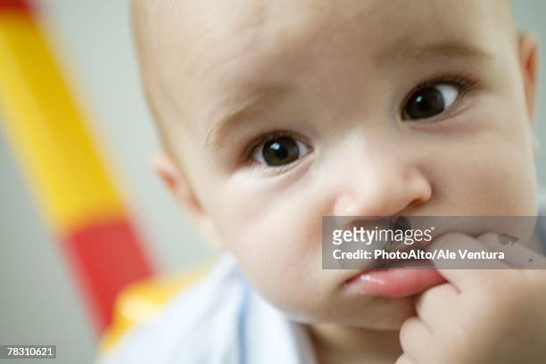 baby with finger in mouth, close-up - froncer les sourcils photos et images de collection