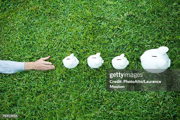 man reaching for line of piggy banks, cropped view - kärleken till pengar bildbanksfoton och bilder