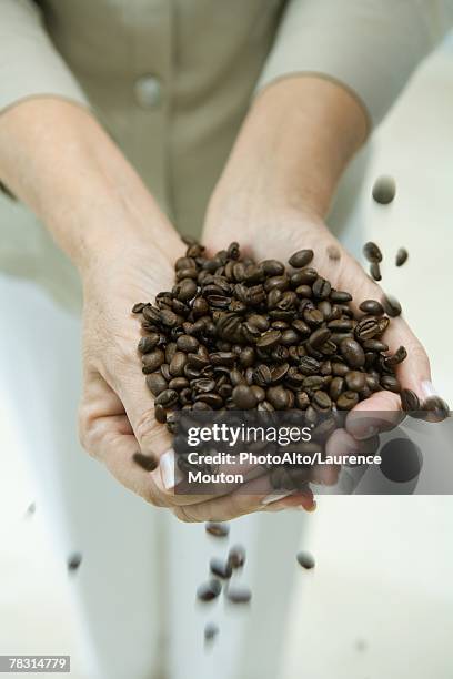 woman's hands holding coffee beans, cropped - northern european descent ストックフォトと画像