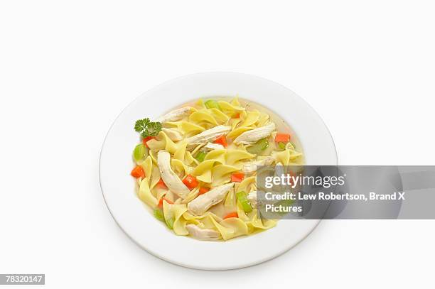 bowl of soup - sopa de pollo con fideos fotografías e imágenes de stock