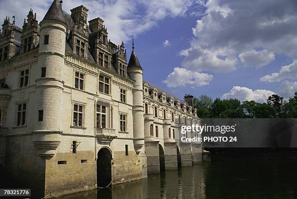 chateau de chenonceau in france - chenonceaux photos et images de collection