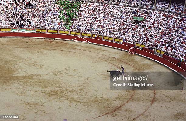 bullfighting ring in pamplona, spain - pamplona bulls stock pictures, royalty-free photos & images