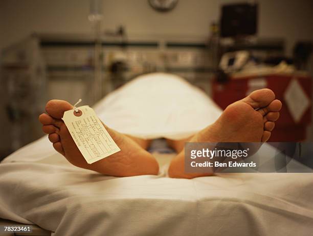 feet of corpse - morgue feet stockfoto's en -beelden