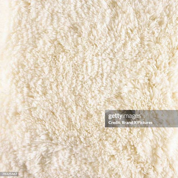 Shag Rug Texture Normal 39 Shag Rug Texture Stock Photos, High-Res Pictures, and Images - Getty ...
