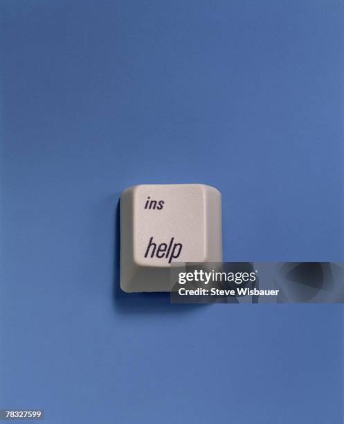 Stephen Wisbauer Photos and Premium High Res Pictures - Getty Images