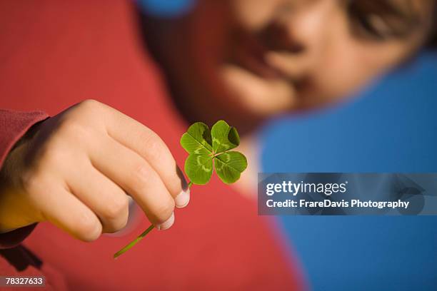 boy holding clover - four leaf clover foto e immagini stock
