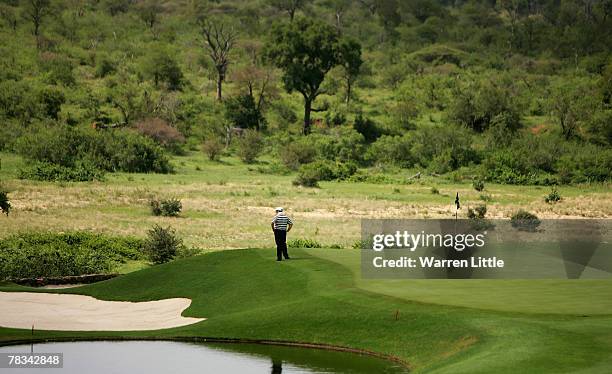 Player stands on the 13th green looking out over the crocodile river and the Kruger National Park during the final round of The Alfred Dunhill...