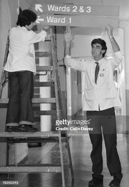 English actor Peter Mayhew helps put up signs to the wards at King's College Hospital, where he works as an orderly, 3rd June 1977. Mayhew, who is...