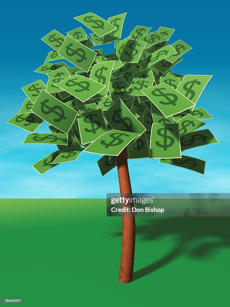 Money tree