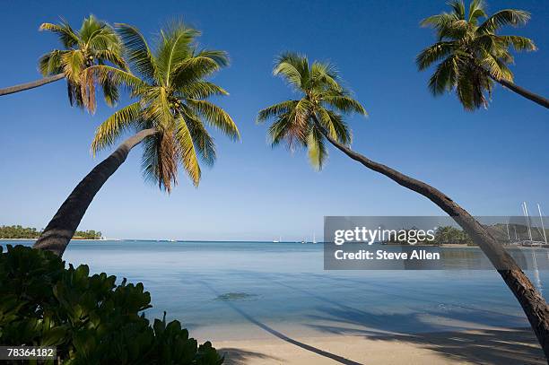 musket cove, yasawa islands, fiji - bay of water stock pictures, royalty-free photos & images