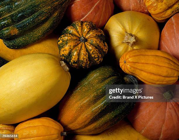 assortment of squash - pattypan squash stock pictures, royalty-free photos & images