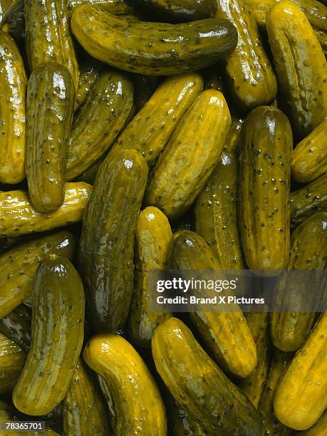 Real Pickles Pattern 525 Pickle Pattern Stock Photos, High-Res Pictures, and Images - Getty ...