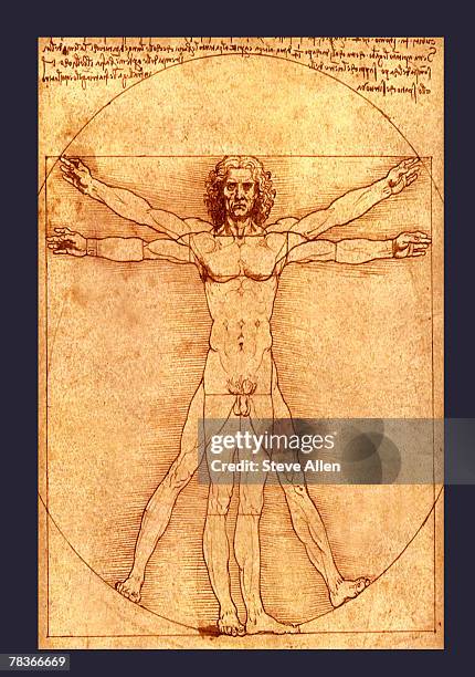 anatomy drawing by leonardo da vinci - nausea stock-grafiken, -clipart, -cartoons und -symbole