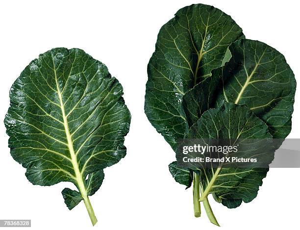 collard greens - southern food stock pictures, royalty-free photos & images