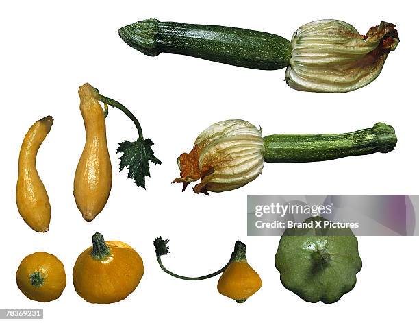 assortment of squash - pattypan squash stock pictures, royalty-free photos & images